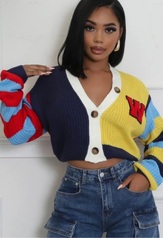 Varsity Sweater
